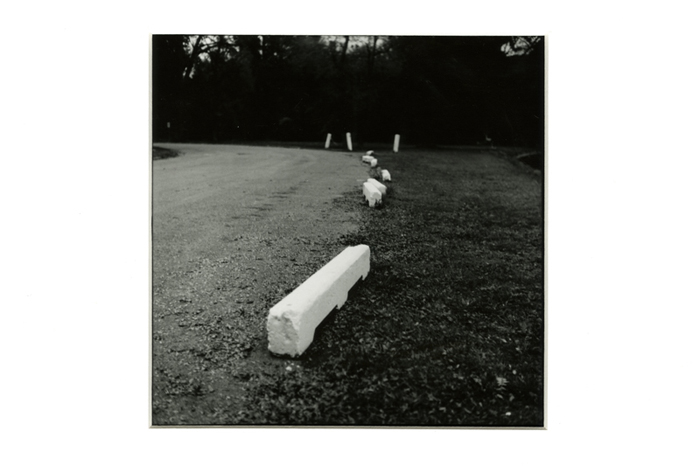 Miscellaneous Photography